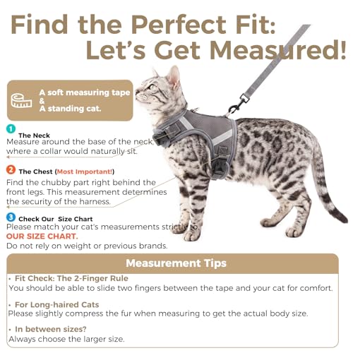 Cat Harness and Leash Set (Grey / Small)