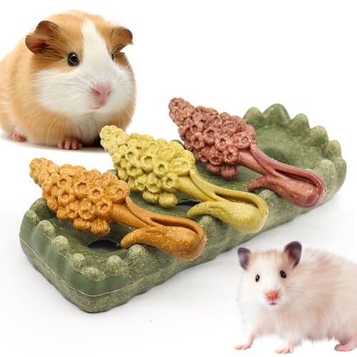 4PCS Guinea Pig Chew Toys (4PCS-Grass Patch & Hyacinth)