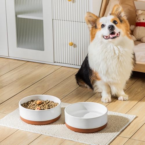 Dog Bowls Ceramic Dog Food and Water Bowls for Large Size Dogs (L-6 Cups / Vanilla White（1 PC）)