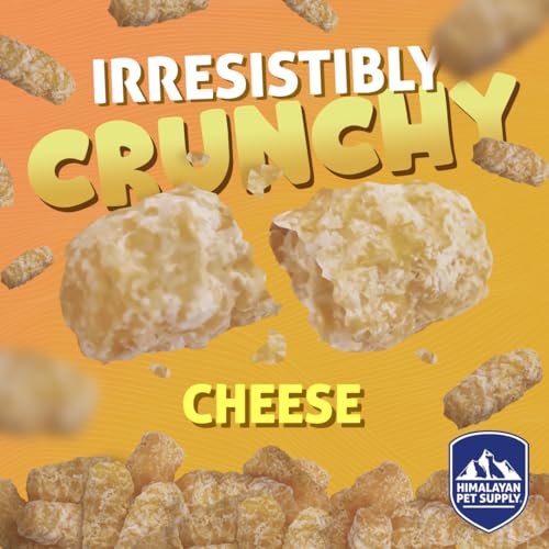 Barkeetos Crunchy Cheesy Dog Snacks (3 Ounce (Pack of 1))