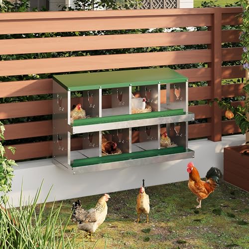8 Hole Chicken Nesting Box with Roll Out Egg Tray