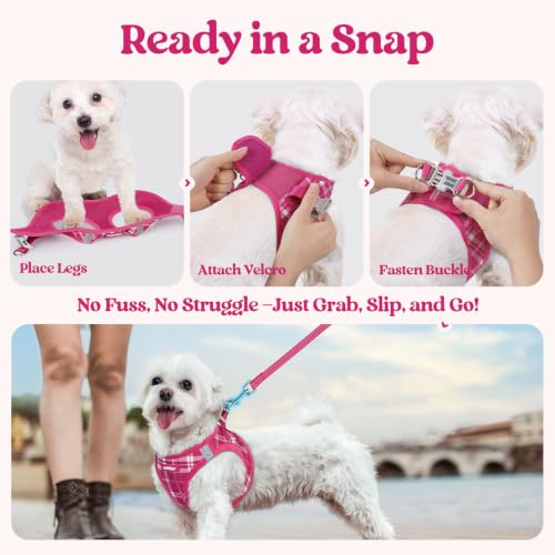 Dog Harness Small Sized and Leash Set (Rose Red Plaid / S (chest: 15.1 - 16.5"))