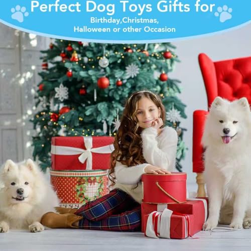 No Stuffing Dog Squeaky Toys (5 Pack)