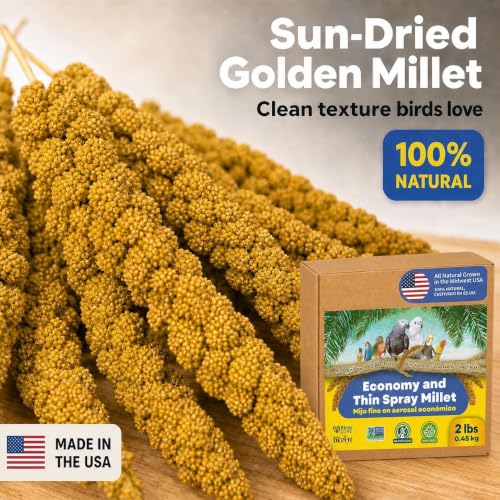2lbs Economy & Special Spray Millet for Birds (2 Pound (Pack of 1))