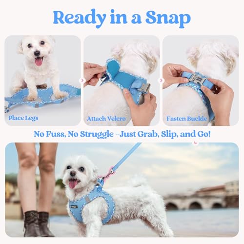 Dog Harness Medium Sized and Leash Set (Blue & Plaid Trim / L (chest: 18.2 - 20.5"))