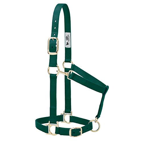 Nylon Horse Halter (Hunter Green / 1" Large Horse)