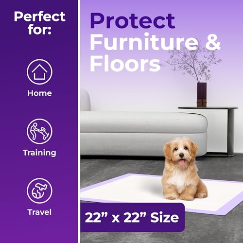 Pee Pads Super Absorbent & Leak (Purple / 40 Pack - 22x22)