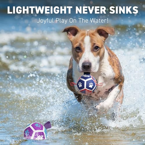 2 Pack Small Dog Toys (Soccer Pack / 2 Pack (3.5 Inch Balls))