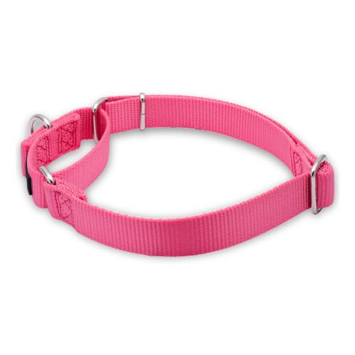 Martingale Dog Collars for Medium Dogs (Medium / Candy Pink)