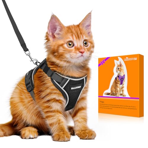 Cat Harness and Leash Set (H600 Pro Black / X-Small (4-6lb))