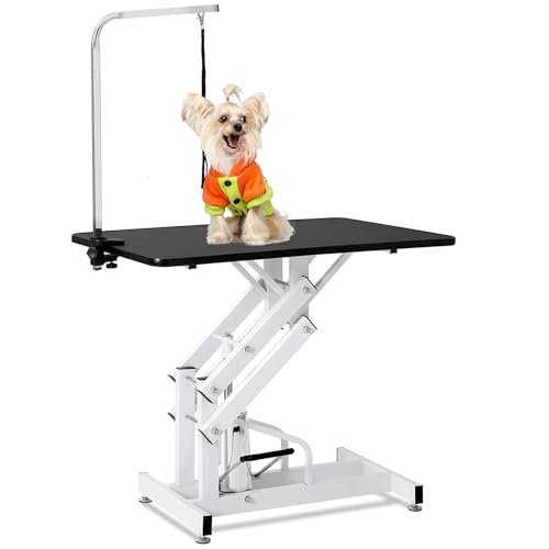 Hydraulic Dog Grooming Table (Single arm)