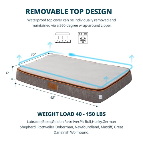 Orthopedic Memory Foam XXL Dog Bed (48.0"L x 30.0"W x 6.0"Th / Light Grey)