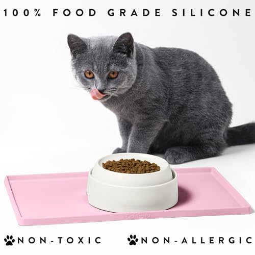 Premium Cat Food Mat (19"L x 11"W / Pink)