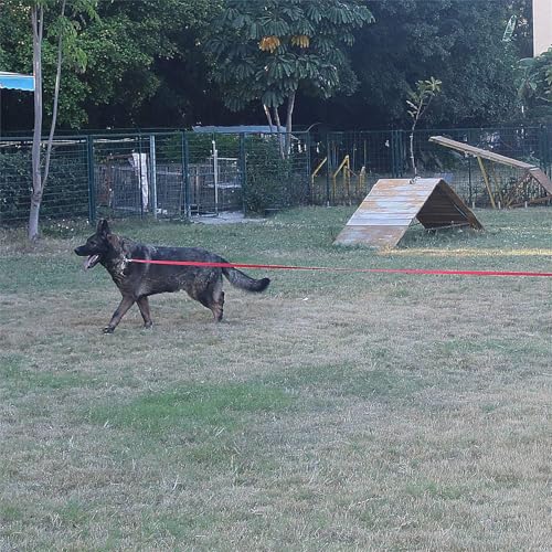Dog Puppy Obedience Recall Training Agility Lead (Military Green / 20 Feet)