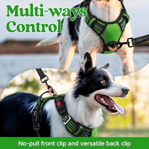 Dog Harness Medium Sized (Green / Medium)