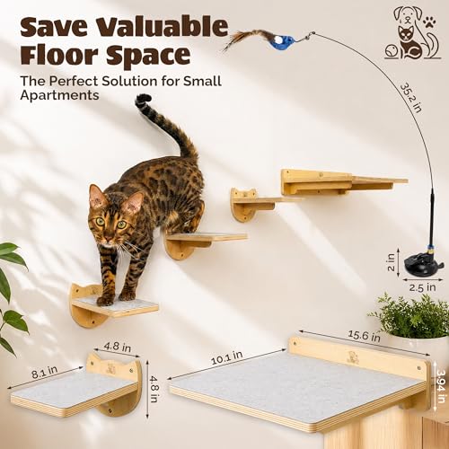 Cat Wall Shelves & Climbing System