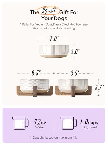Ceramic Dog Bowls for Medium Large Dogs (L-5 Cups / Lines+Dot)