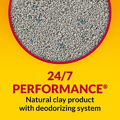 Clumping Cat Litter (27.00 Pound (Pack of 1) / 27 lb. Pail)