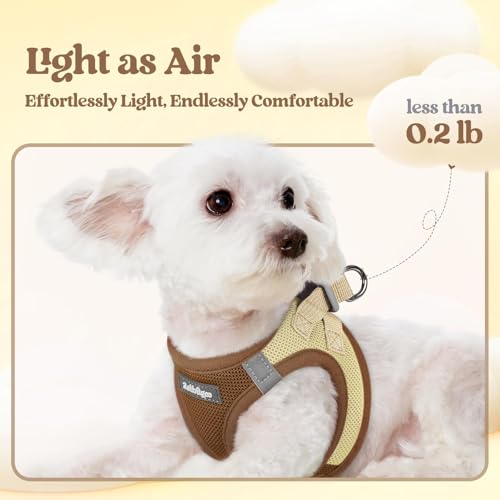 Dog Harness Small Sized and Leash Set (Brown & Beige / Xs (chest: 13.3 - 15.5"))
