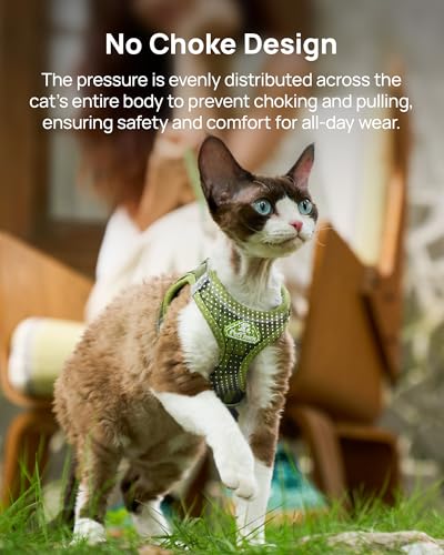 Upgraded Cat Harness and Leash Set (Green Growling Crocodile / L)