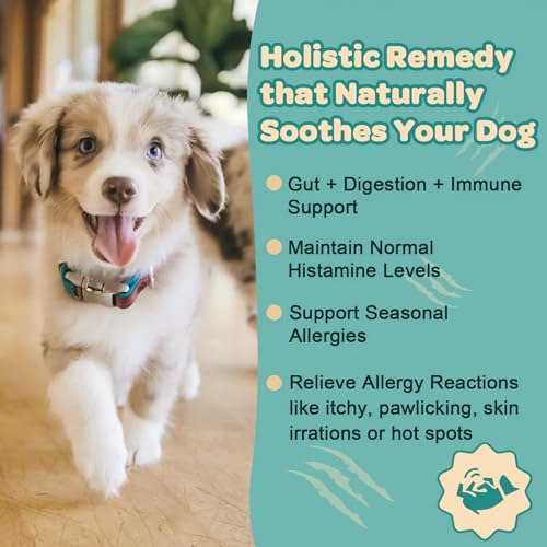 Dog Allergy Relief with Advanced Skin Probiotics (90 Scoops)