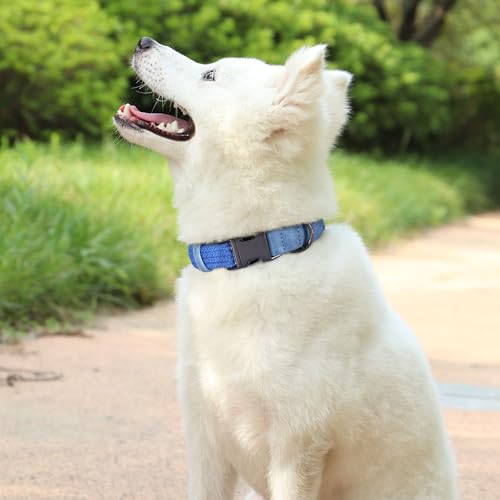 Soft Cotton Dog Collar for Large Dogs in Tranquil Blue (L: Fit Neck 15-23" / Blue)