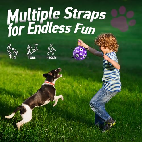 Soccer Ball for Dogs with Straps (Purple White / 8 Inch)