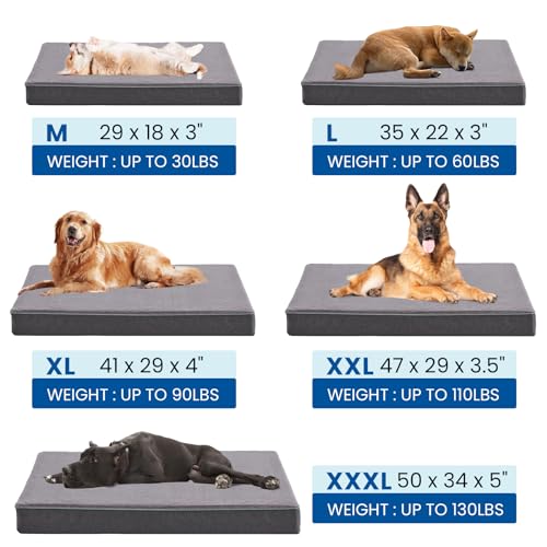 Orthopedic Memory Foam Dog Bed for Large Dogs (Grey / X-Large: 41" x 29" x 4")