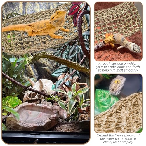 Bearded Dragon Hammock