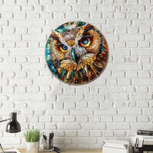 Metal Sign Tin Sign Circular Stained Glass Owl Bathroom Signs Decor For Home Decor 8×8 Inches (8×8 Inches / Owl-1)