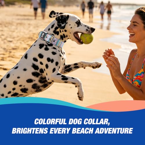 Heavy Duty Thick Dog Collar with Metal Buckle for Large Dogs (L – Fits Neck 18.9"-21.7" / Dopamine Vibrant Print)
