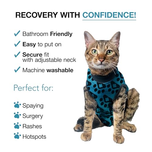 Cat Recovery Suit Female and Male (Blue / Small)