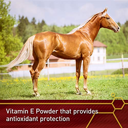 Pro E 5000 Premium Horse Vitamin E Powder