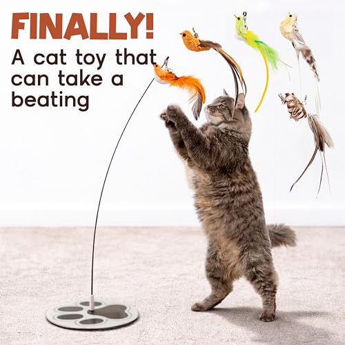 Bird Toy for Cats (Feather Frenzy)