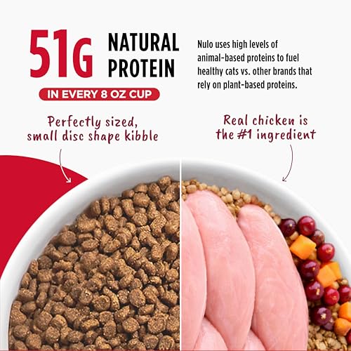 Freestyle Cat & Kitten Dry Food (4 Pound (Pack of 1))