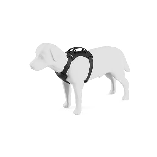 Cappy Dog Harness M (Medium)