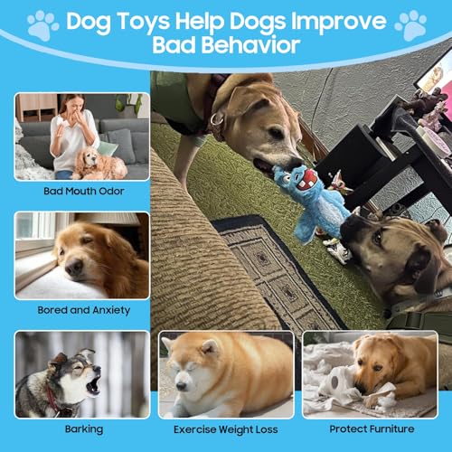 No Stuffing Dog Squeaky Toys (5 Pack)