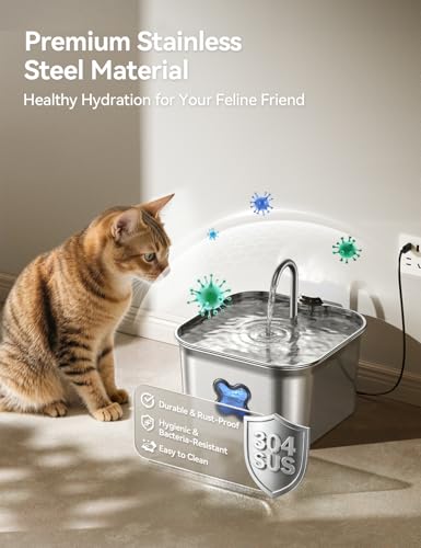 Cat Water Fountain