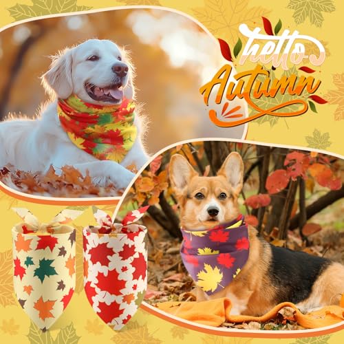 100 Pieces Thanksgiving Dog Bandanas Bulk Fall Autumn Pet Bandanas for Small Large Dogs with Maple Leaves Patterns Triangle Scarf Bib Kerchief Set Costume Accessories (Maple / 31.5 x 21.7 x 21.7")