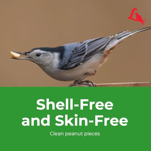 Peanut Pieces Wild Bird Seed (15 Pound (Pack of 1))