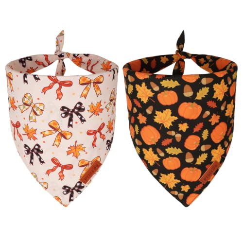 Fall Dog Bandanas (Large / Fall-2)
