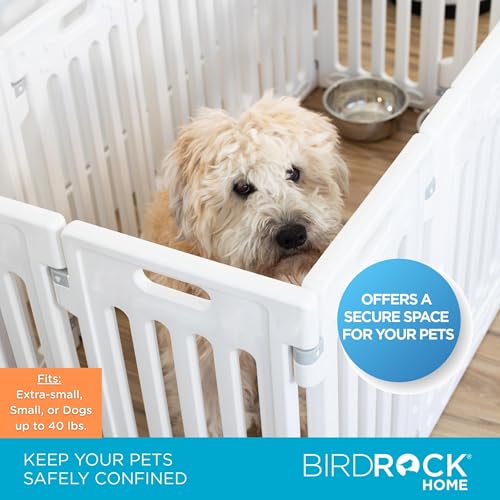 Pet Playpen with Door (White / 12-Panel - 25.6" H)