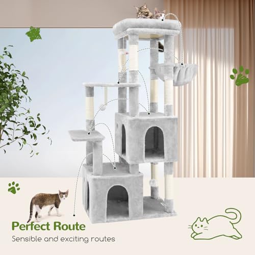 Heavy Duty Cat Trees for Big Cats Maine Coon (Cloud Grey / 61inch)