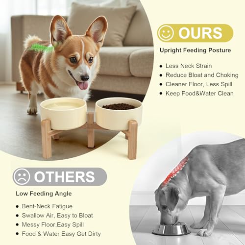 Elevated Dog Bowls Ceramic (6.1 in - 3.6 cups / Beige)