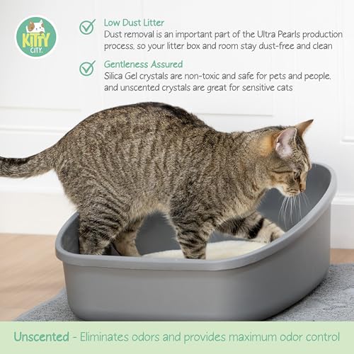 pH Detecting Crystal Cat Litter (B) 6LB - Crystal Cat Litter (With PH Additive))