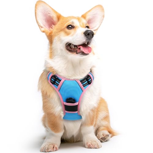 Dog Harness for Medium Sized Dogs (Medium / Pink & Sky Blue)