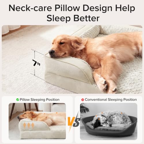 Orthopedic Dog Beds Large Sized (Beige / XL (42"x 32"x 7"))