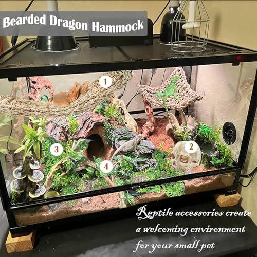 Bearded Dragon Terrarium Skull Decoration