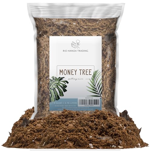 Money Tree Soil (4 Quarts)