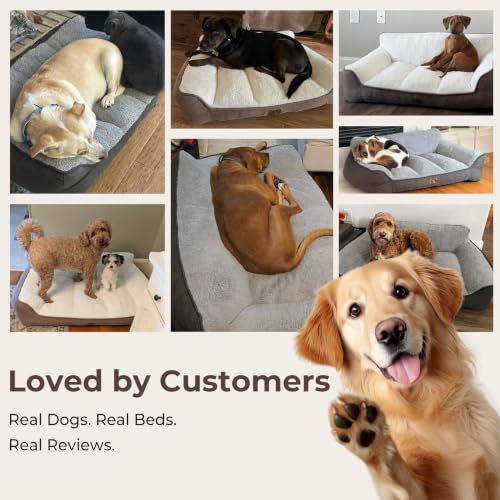 Extra Thick Orthopedic Bolster Dog Beds Large Sized Dog (Brown / 38"L x 28"W x 8.5"H)